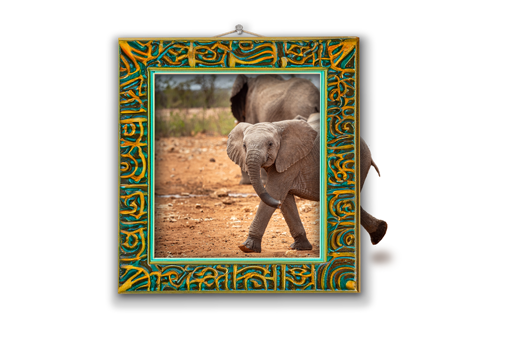 baby-elefant-lerncoaching